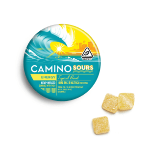 Camino Sours | Tropical Burst