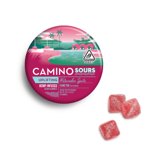 Camino Sours | Watermelon Spritz