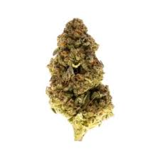 Florida Sunset THCa Flower - Sativa 30.05%