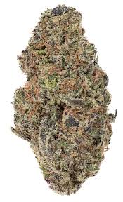 Governmint Oasis TCHa Flower Hybrid 32.7%