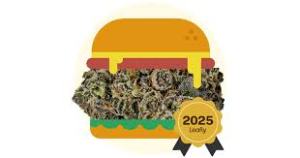 Hash Burger - THCa Flower Indica 34.98%