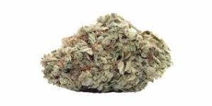Dragon Fruit THCa Flower - Hybrid 30.57%